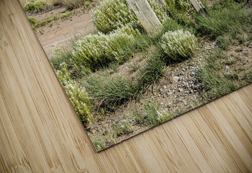 Water Pump Compass Studios puzzle