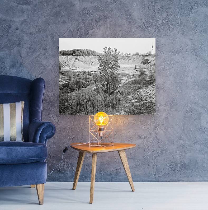 Quarry II Reproduction