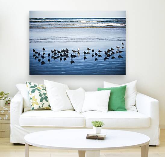 Birds of a Feather by Compass Studios