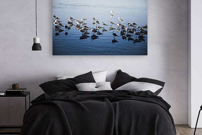 Birds of a Feather II by Compass Studios