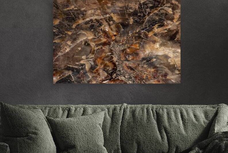 Pertified Wood II by Compass Studios