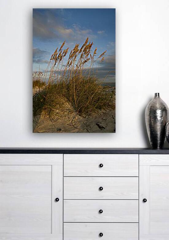 Sea Oats by Compass Studios