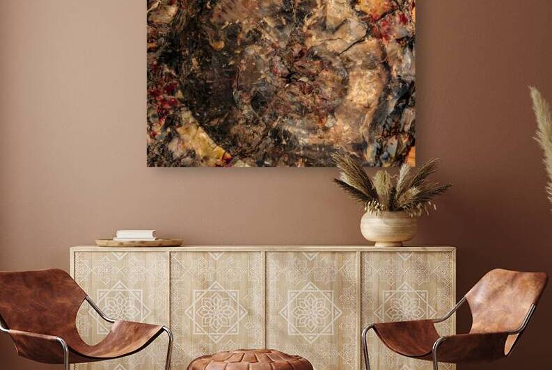 Petrified Wood I by Compass Studios