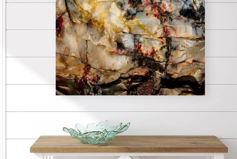 Pertified Wood III by Compass Studios