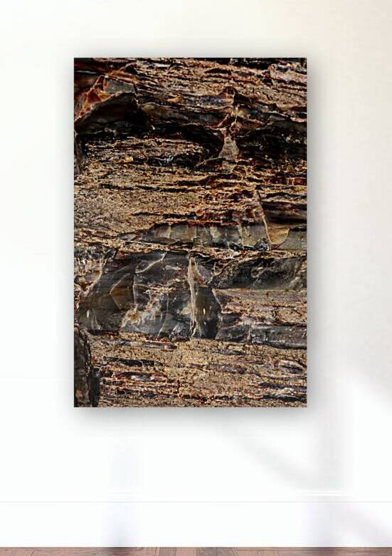 Pertified Wood by Compass Studios