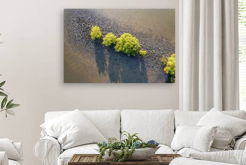 Tranquility II by Compass Studios