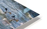 Fashionably Late HD Metal print