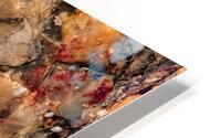 Petrified Wood I HD Metal print