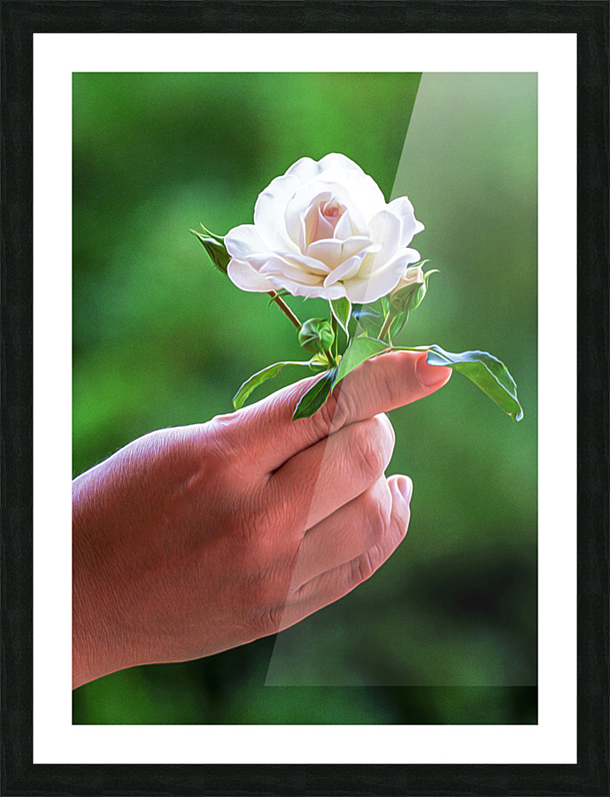  Fine Art print
