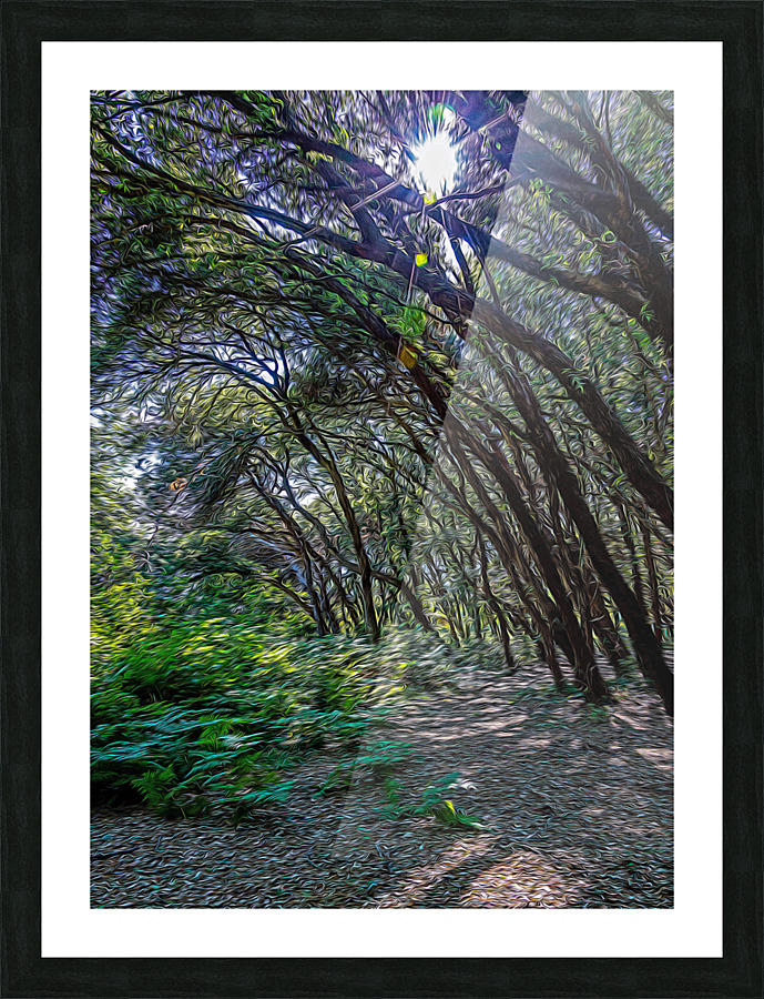 Maritime pine forest in Salento Picture Frame print