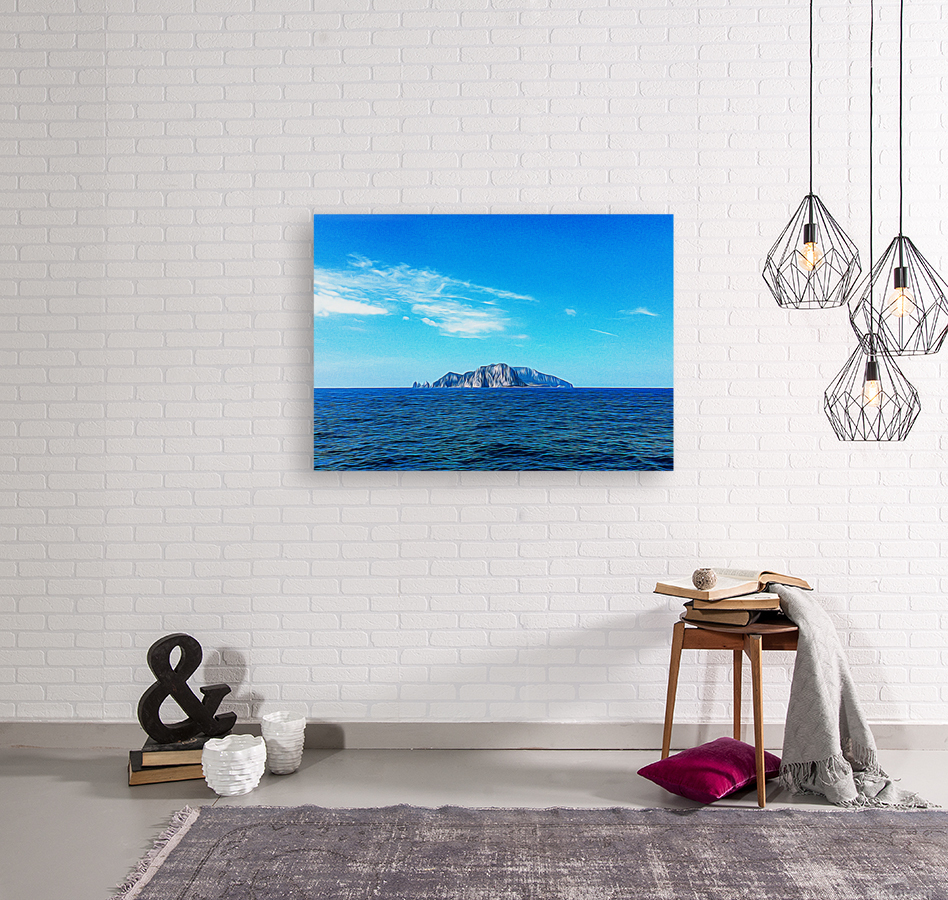 Capri Island Reproduction