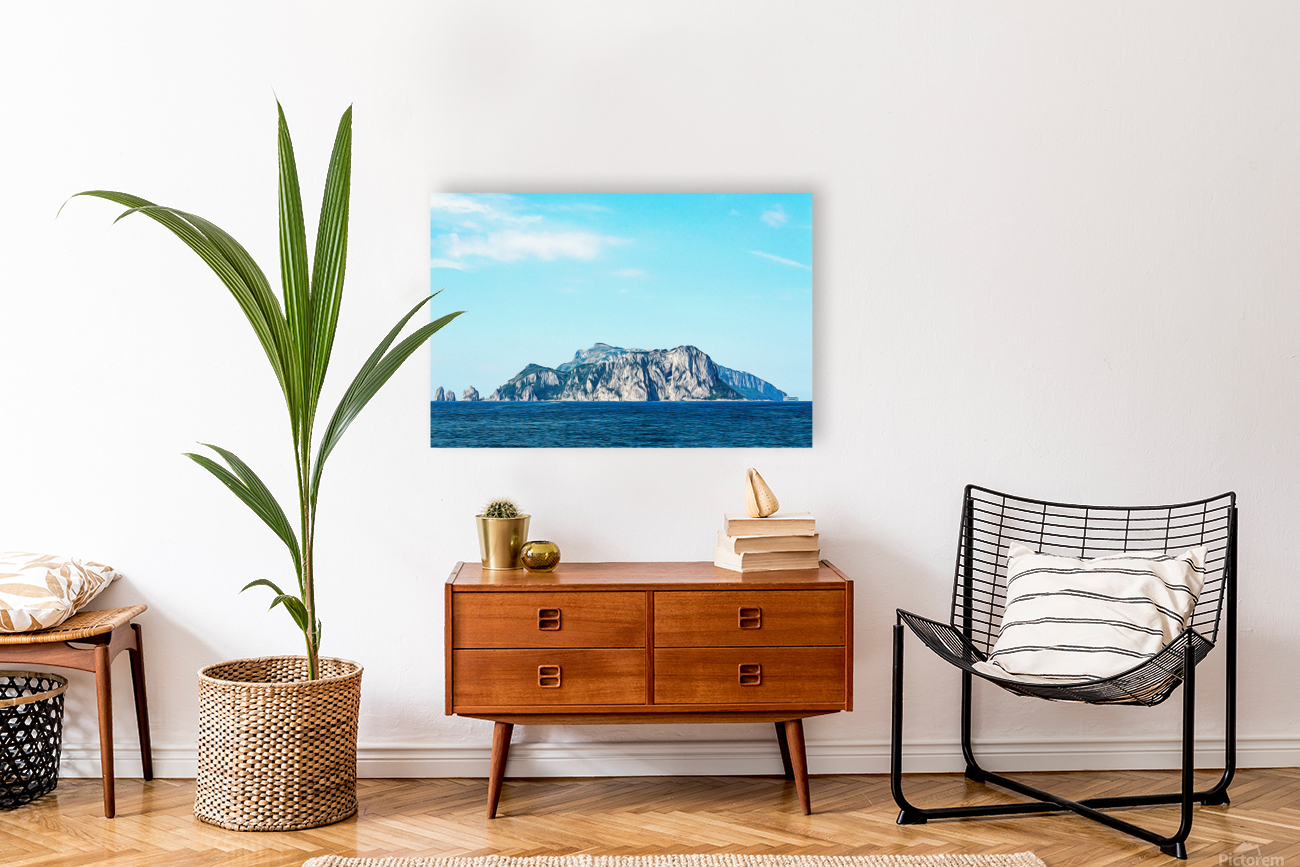 Capri Island Reproduction