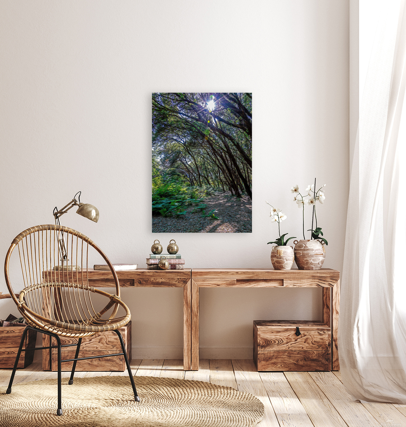 Maritime pine forest in Salento Reproduction