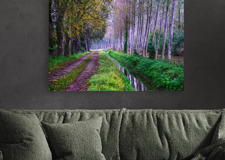 Country dirt road in Lomellina during a wet autumn by sergiopazorama
