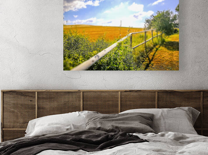 Fields on the hills of Marche Region on the Adriatic Sea Italy by sergiopazorama