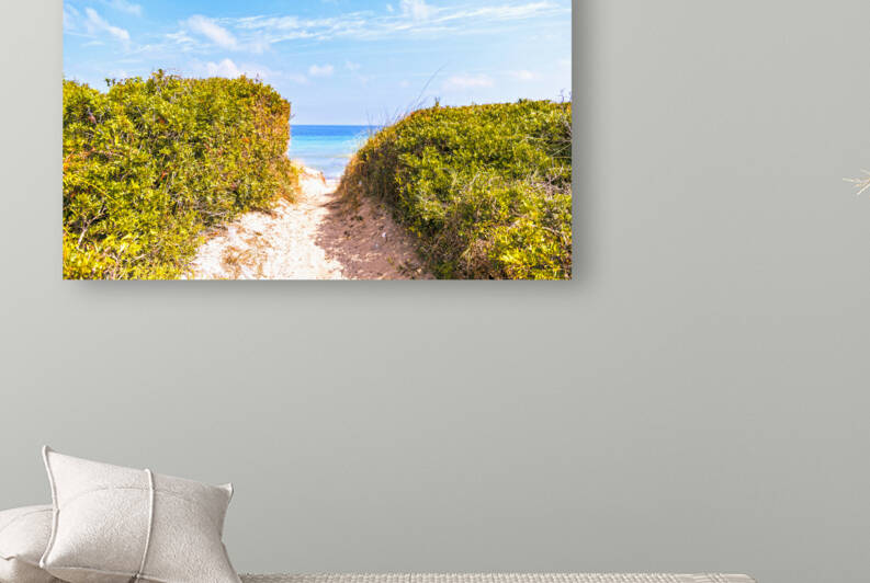 Beach in the coastal dune natural park of Ostuni in Salento on the Adriatic sea by sergiopazorama