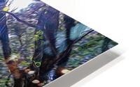 Maritime pine forest in Salento HD Metal print