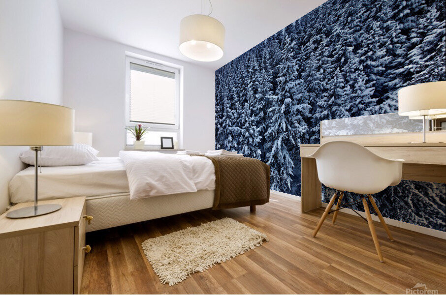 December Snow Mural print
