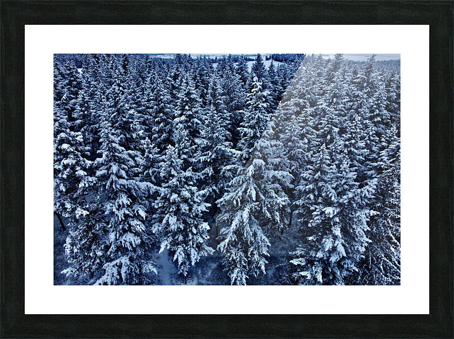 December Snow Picture Frame print