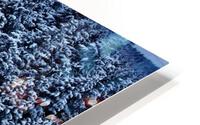 December Snow HD Metal print