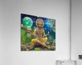 The Gods Universal Code Acrylic Print