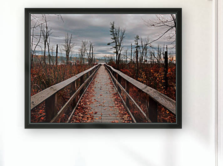 Brisk Autumn Walk Reproduction