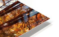 Autumn HD Metal print