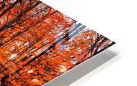 Explore HD Metal print