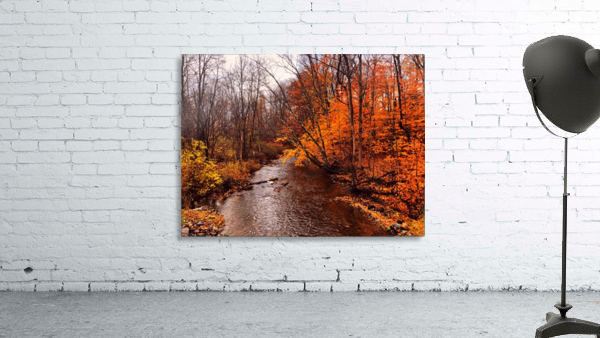 Explore Wall Preview