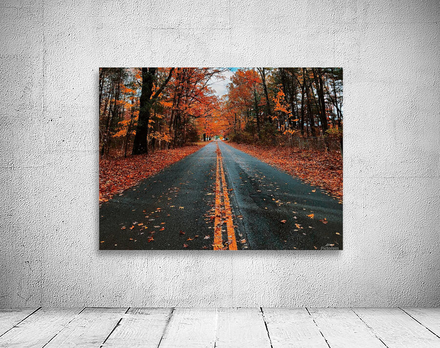 Country Back Road Wall Preview