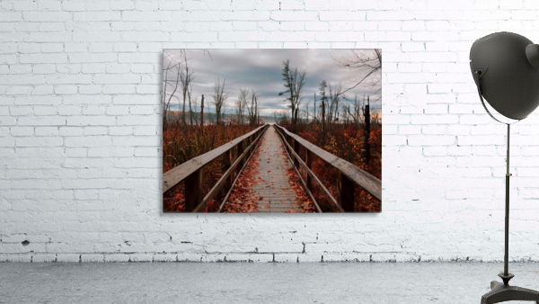 Brisk Autumn Walk Wall Preview