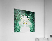 Ethereal Duality – Surreal Mirror Reflection Acrylic Print