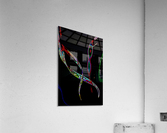 Untitled Acrylic Print