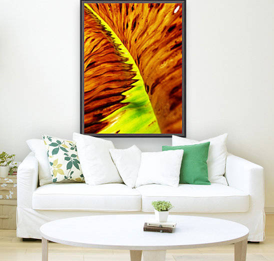 Leaf of Banana2 by Rizal Ghazali