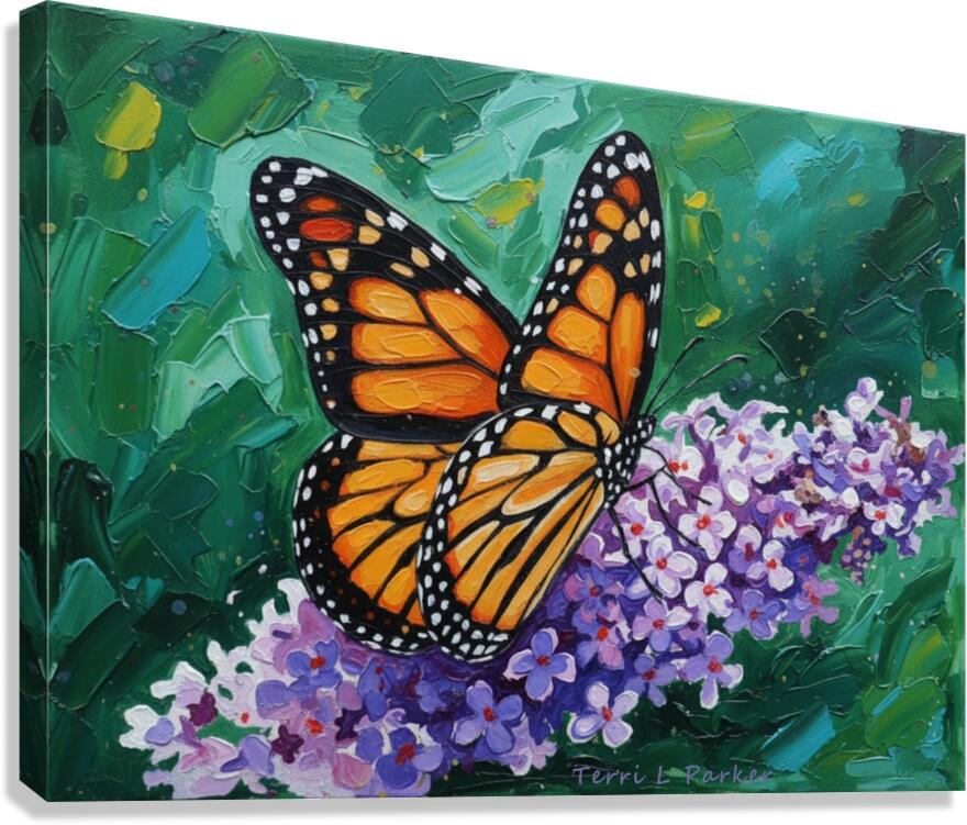 Monarch Butterfly 2