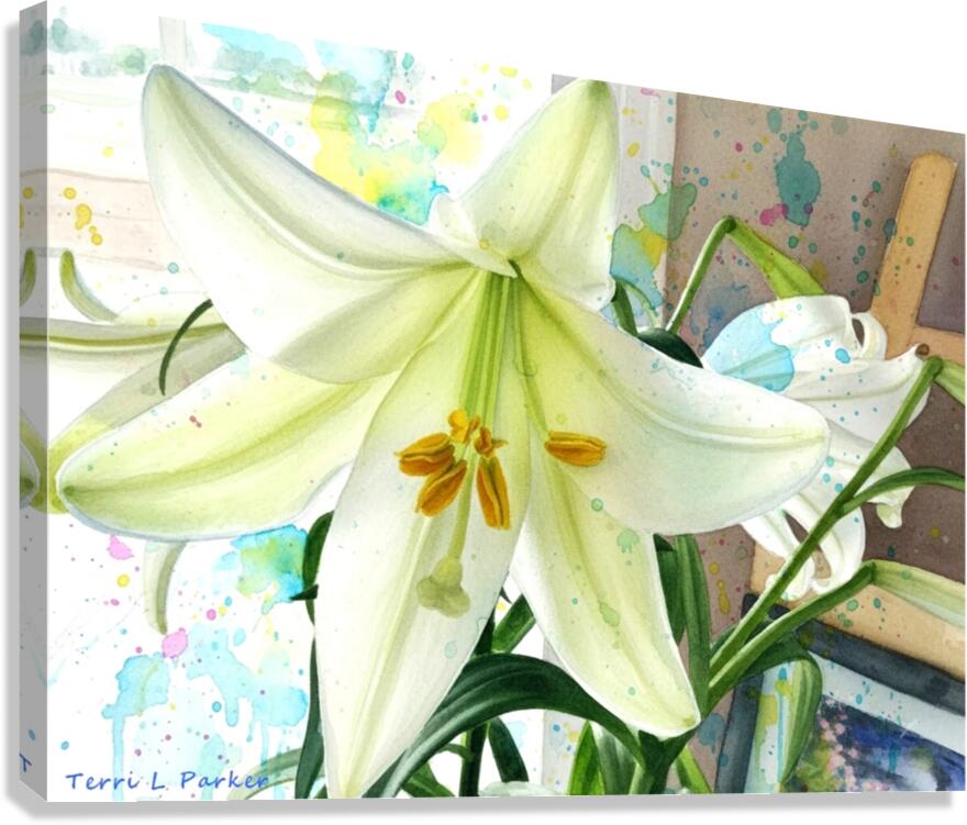 White Lilly 1