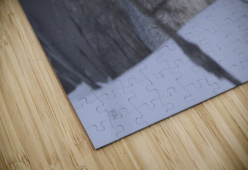 Young & Wild Wild North Photos puzzle