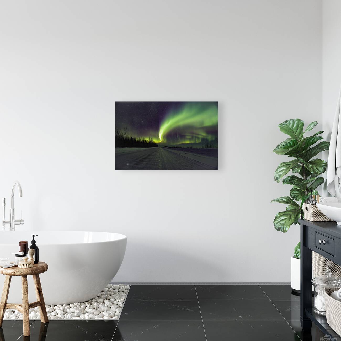 The Aurora Reproduction