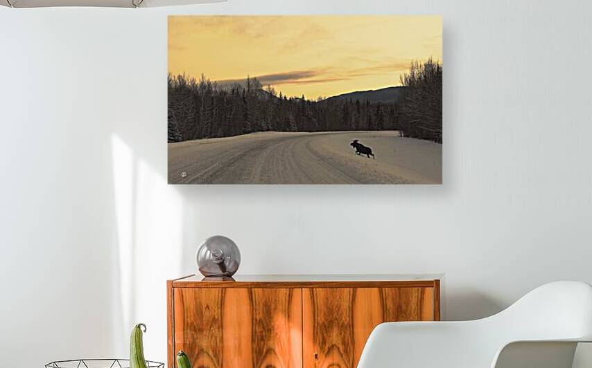 Moose Silhouette Reproduction
