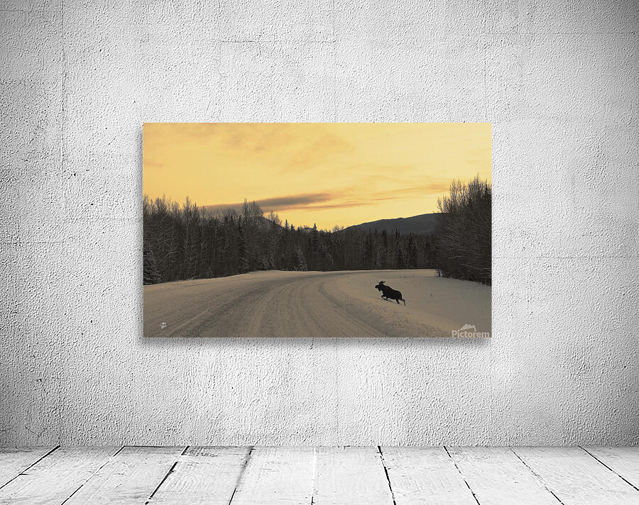 Moose Silhouette Wall Preview