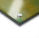 In the Blink of an Eye   Acrylic print