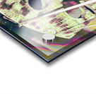 About the Bridge  Acrylic print