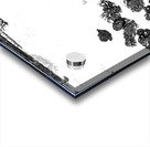 Abstract Fields Acrylic print