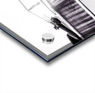 Fiddle in Black and White Acrylic print