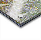 Many Grasses  Acrylic print