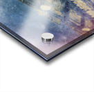 Abalone Shells at China Camp Acrylic print