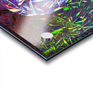 Grasses in layers Acrylic print