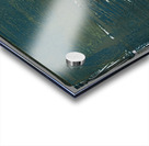 Deep in the Pine Forest Acrylic print