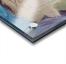 Pathway Through the Dunes  Acrylic print