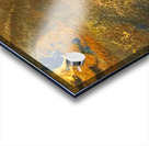 Cosmic Explorer 2 Acrylic print